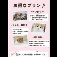 画像1458