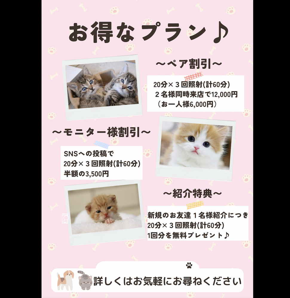 画像1458